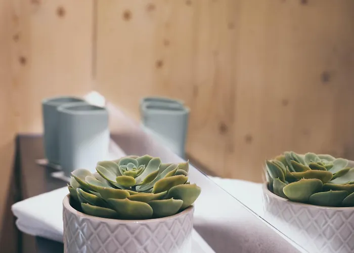 Frutigresort Hotel Frutigen