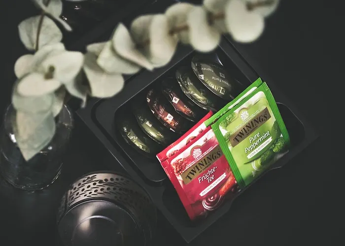 فندق Frutigresort